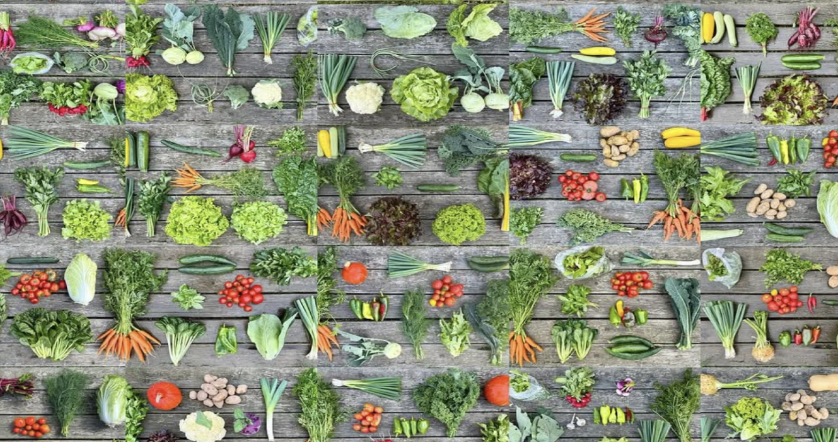 Market gardening: efektivní a šetrné zemědělství