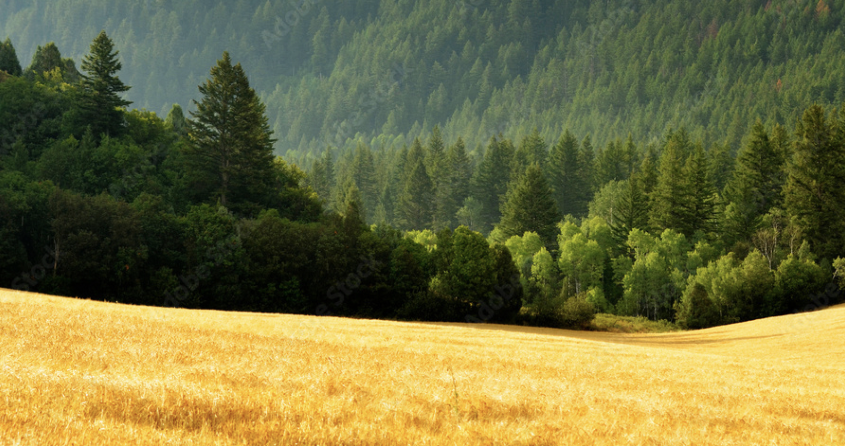 Zpráva o životním prostředí